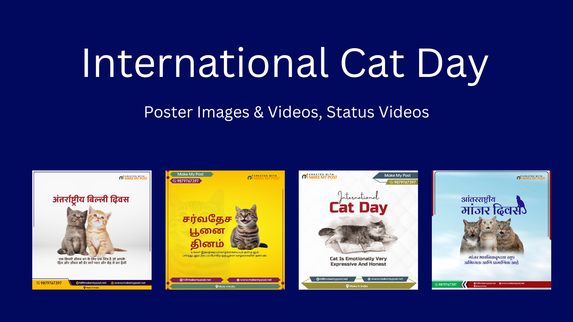 International Cat Day 2023: International Cat Day: How to tell if